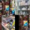 IMG-20260702-WA0017