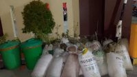 IMG-20261024-WA0029